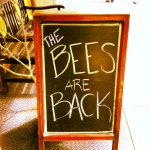 The Bees are Back
